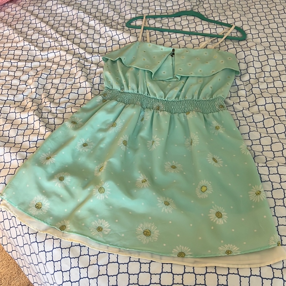 Xhilaration mint green daisy dress